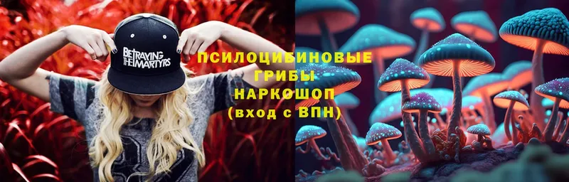 Псилоцибиновые грибы прущие грибы  наркотики  Верхний Уфалей 